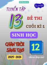 Tuyển tập 13 Đề thi cuối kì 1 năm học 2025-2026 môn Sinh học 12 CTST (Kèm đáp án)